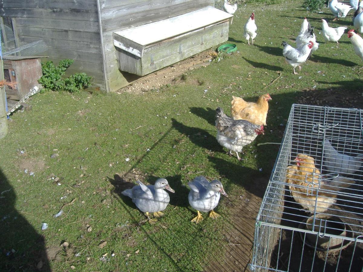 Bed and Breakfast South Moor Farm Scarborough Esterno foto